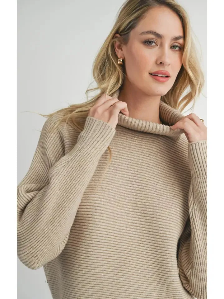 ANYA TURTLENECK DOLMAN SWEATER